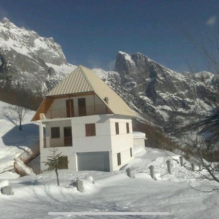 Alpbes Theth Guesthouse Shkodër Eksteriør billede
